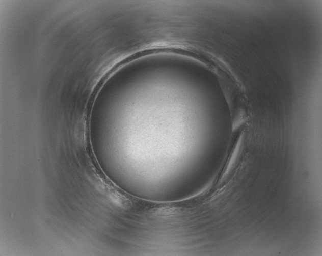 X0000078001268200610271127
