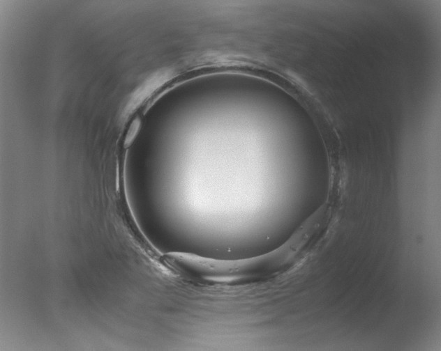 X0000078001269200610271127