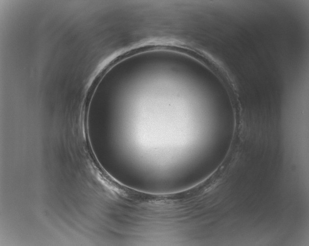 X0000078001272200610271127