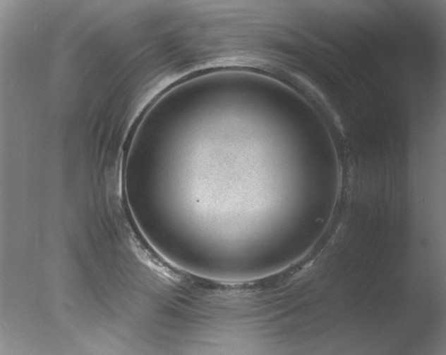 X0000078001276200610271127
