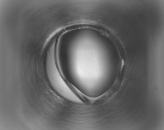 X0000078001310200610271126