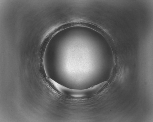 X0000078001311200610271126