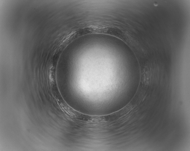 X0000078001346200610271126