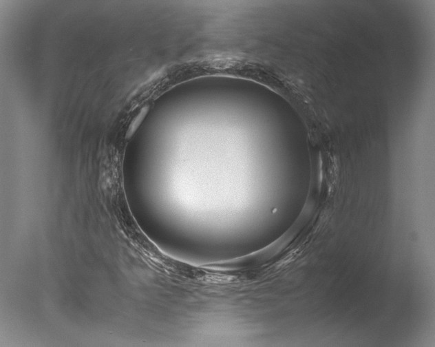 X0000078001349200610271126