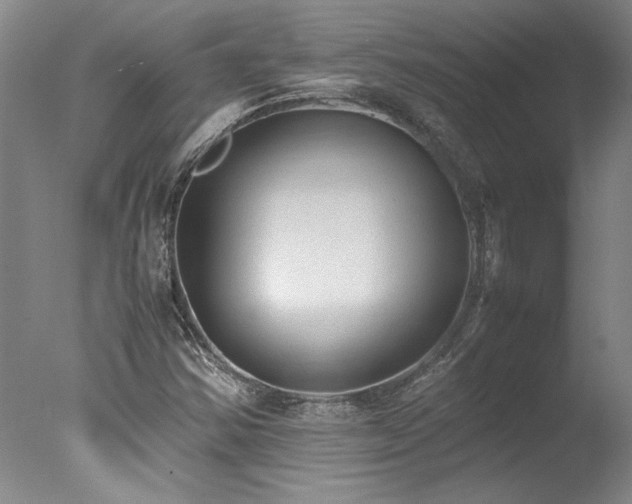 X0000078001354200610271126