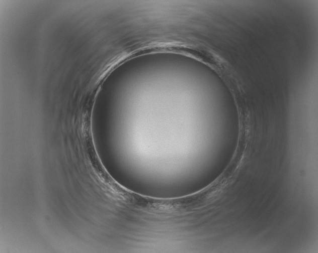 X0000078001361200610271125