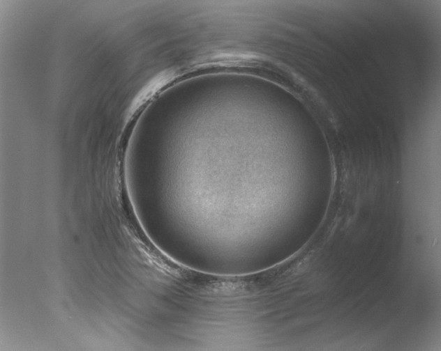 X0000078001362200610271125