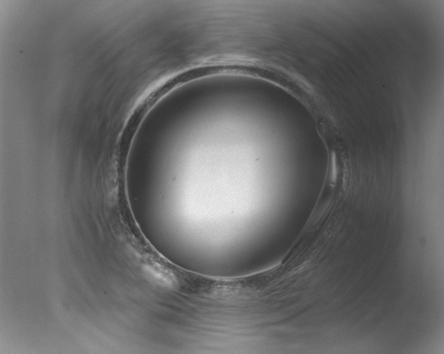 X0000078001364200610271125