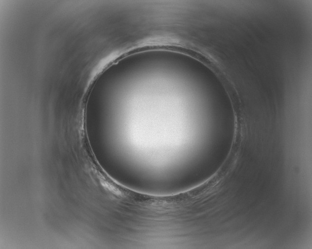 X0000078001366200610271125