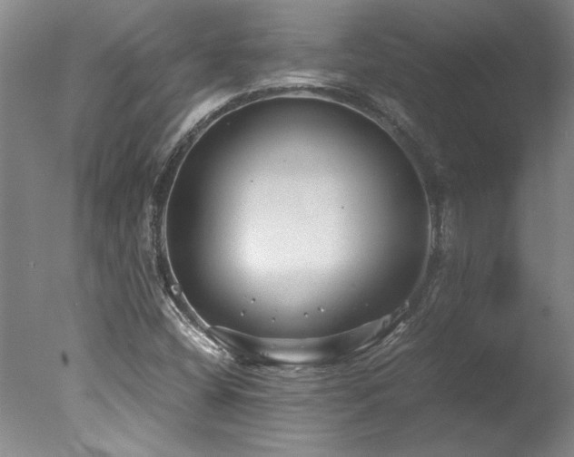 X0000078001404200610271124