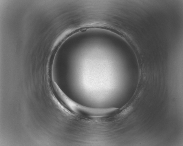 X0000078001422200610271125