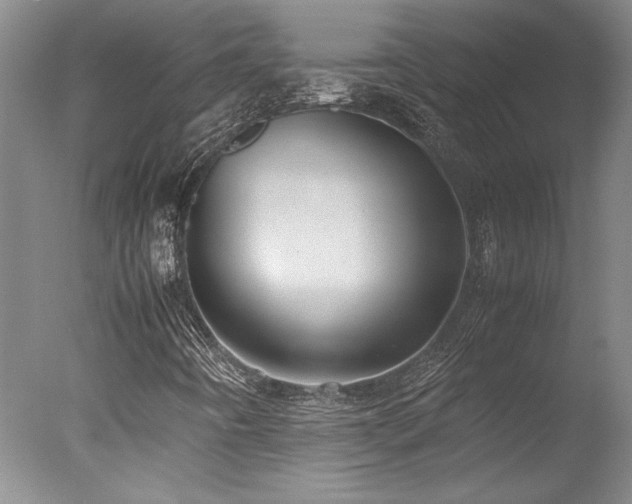 X0000078001442200610271124
