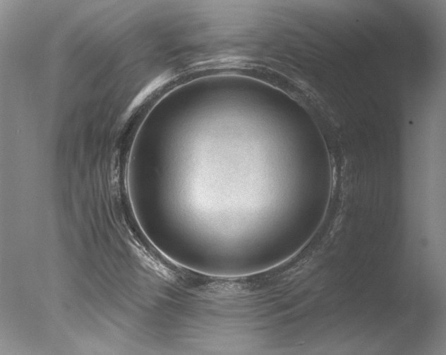 X0000078001450200610271124