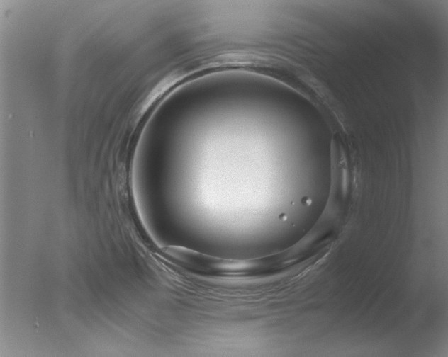 X0000078001465200610271124