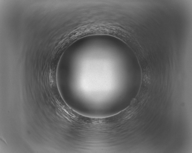 X0000078001490200610271123