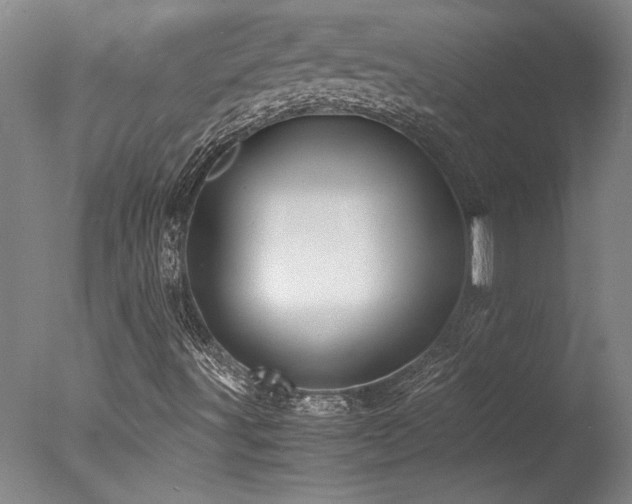 X0000078001491200610271123