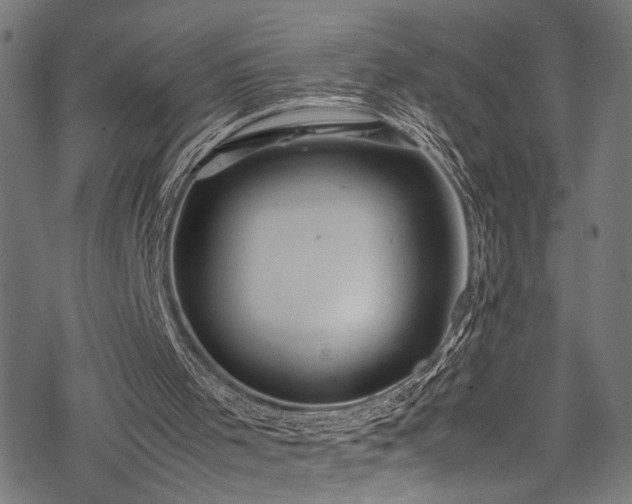 X0000078000001200611031457