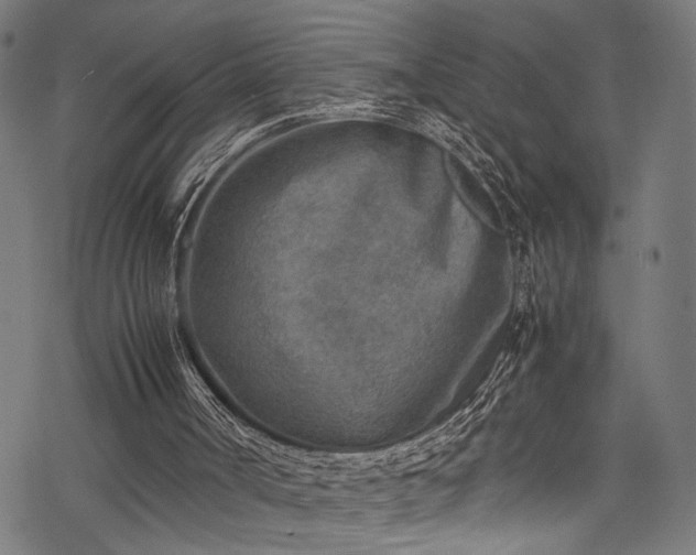 X0000078000002200611031457