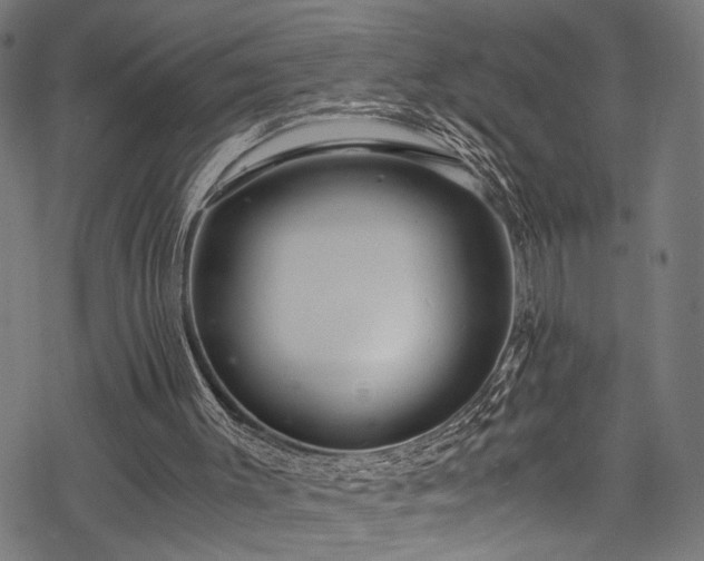 X0000078000003200611031457