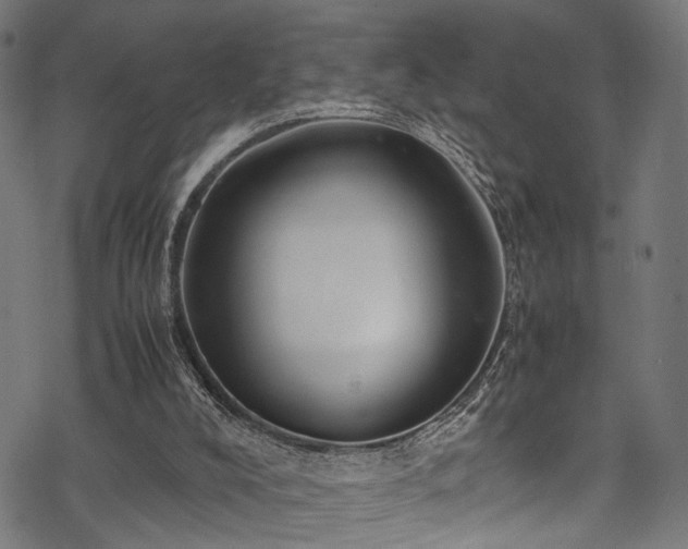 X0000078000008200611031457