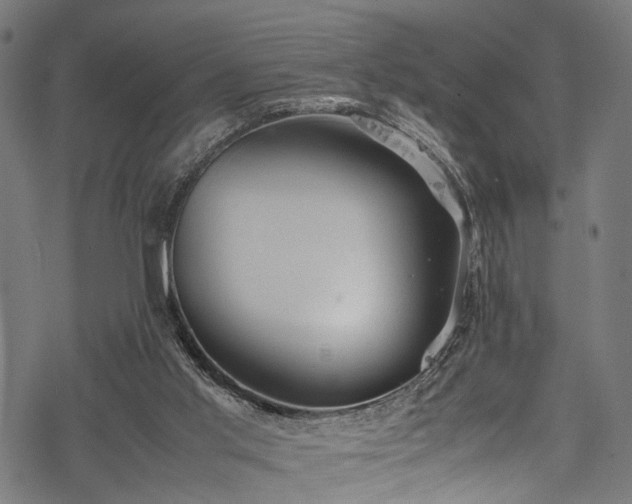 X0000078000013200611031457