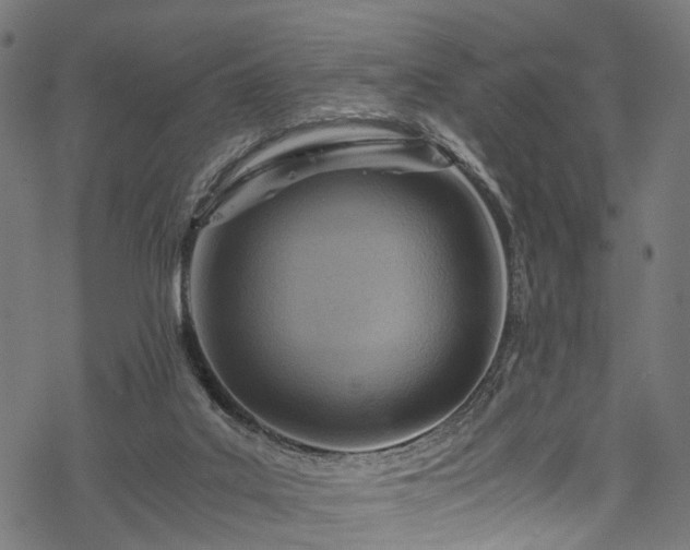 X0000078000019200611031456