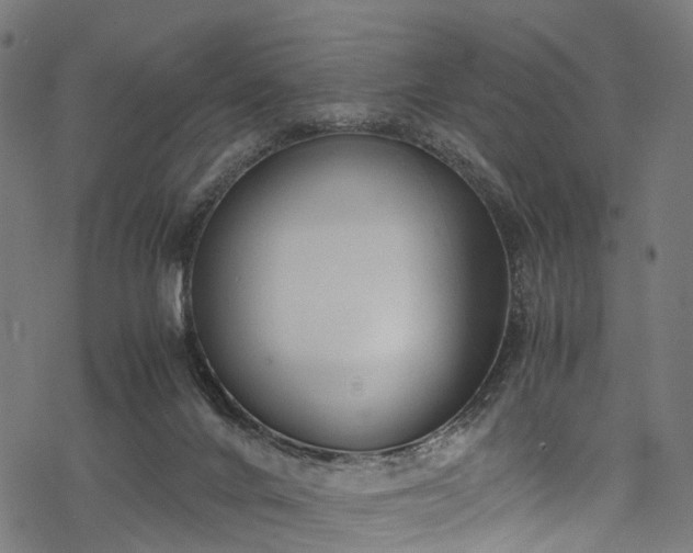 X0000078000024200611031456