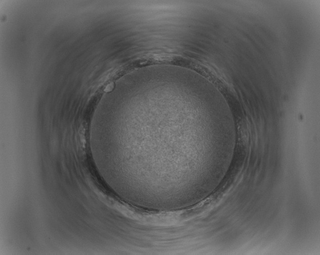 X0000078000032200611031456