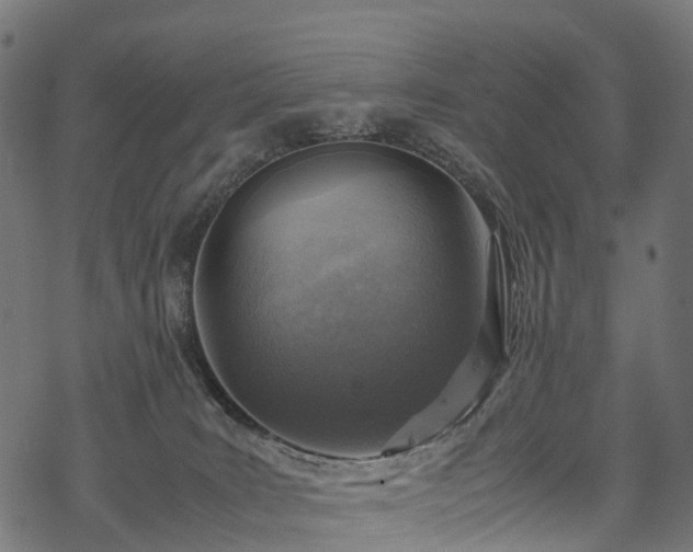 X0000078000035200611031456