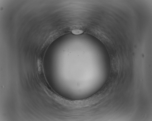 X0000078000038200611031456