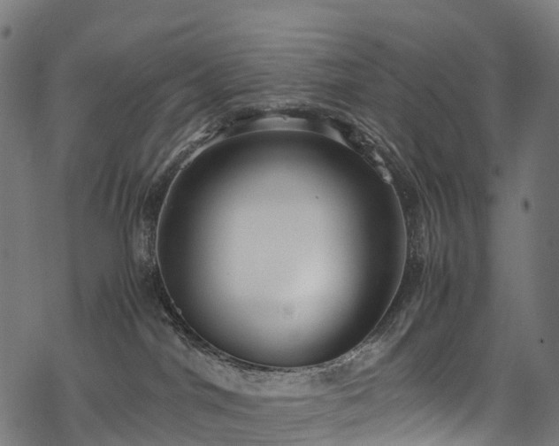 X0000078000044200611031456