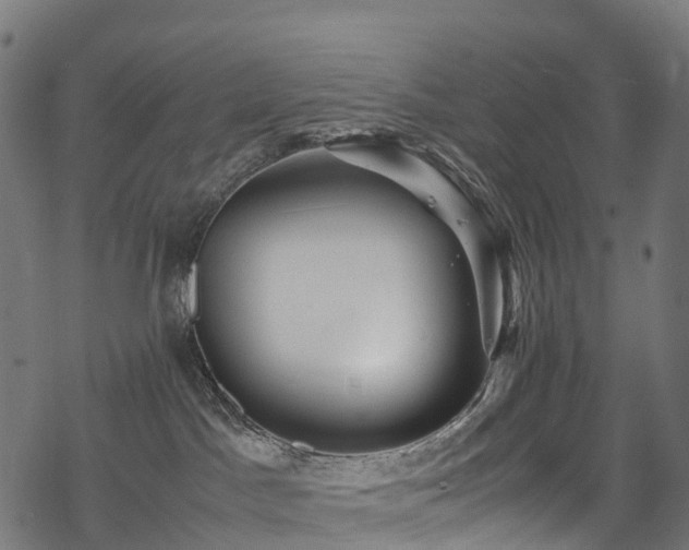 X0000078000045200611031456