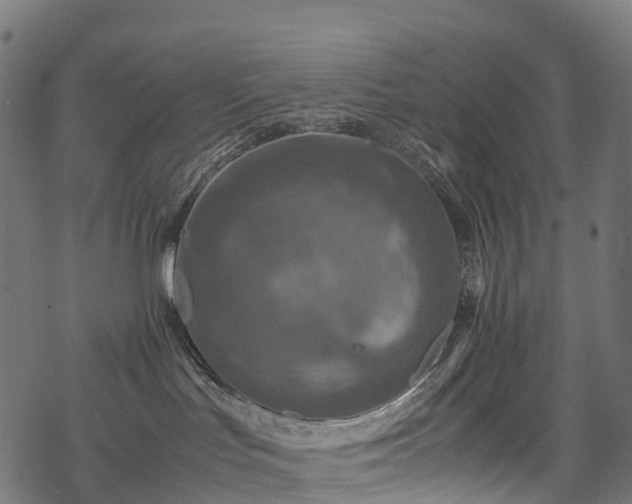 X0000078000047200611031456