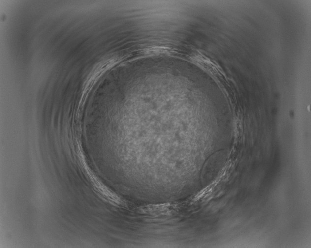 X0000078000049200611031455