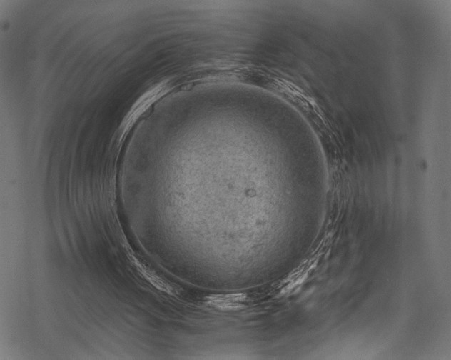 X0000078000051200611031455
