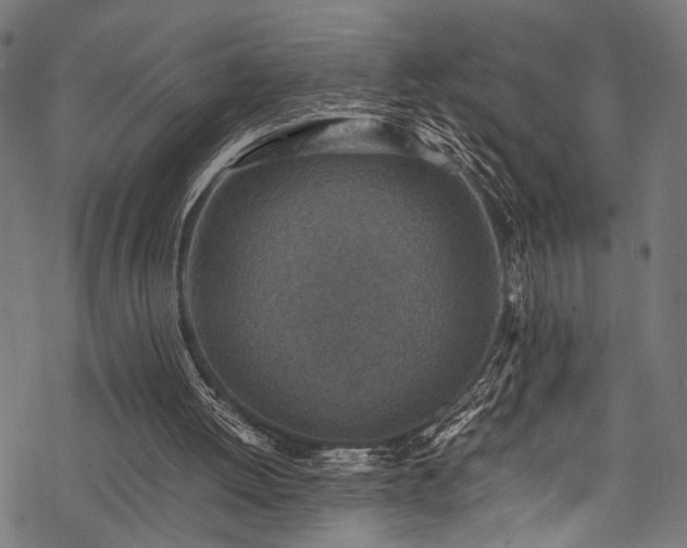 X0000078000052200611031455