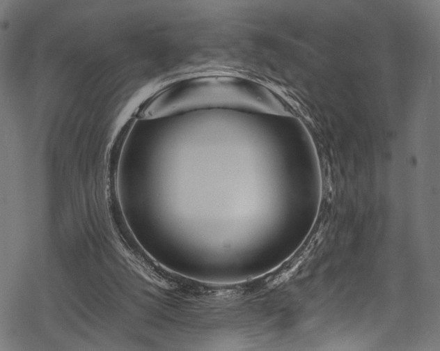 X0000078000056200611031455