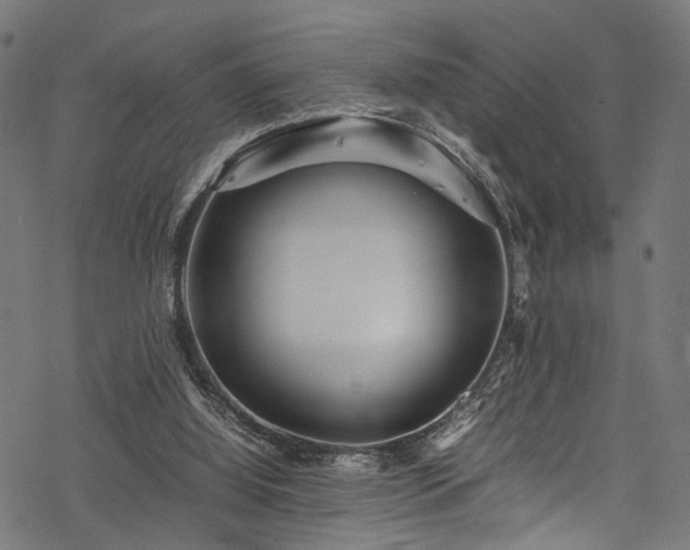 X0000078000060200611031455