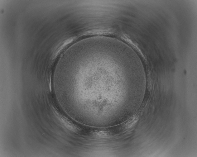 X0000078000062200611031455