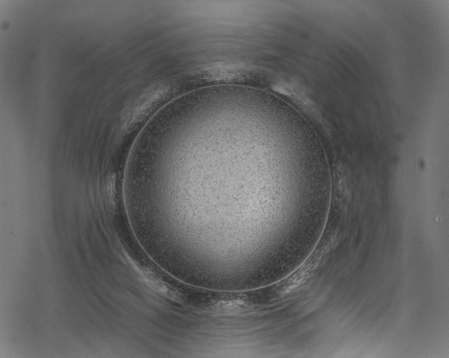 X0000078000066200611031455