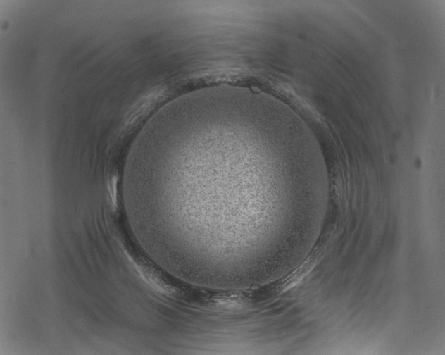 X0000078000070200611031456