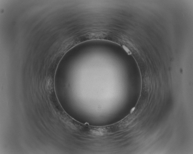 X0000078000079200611031456