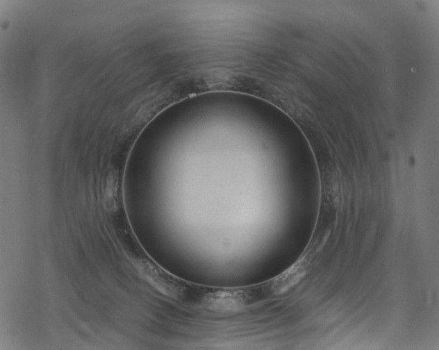 X0000078000082200611031456