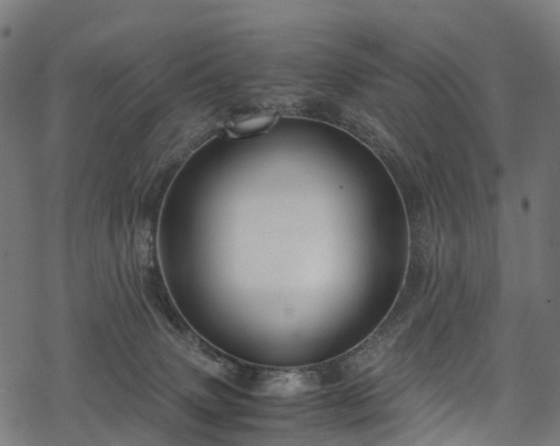 X0000078000083200611031456