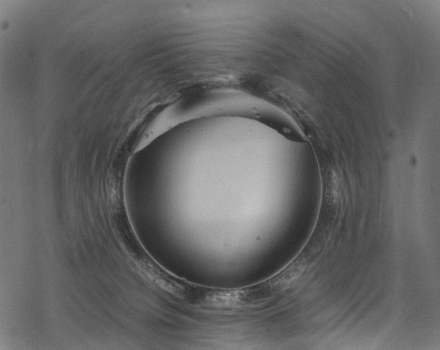 X0000078000084200611031456