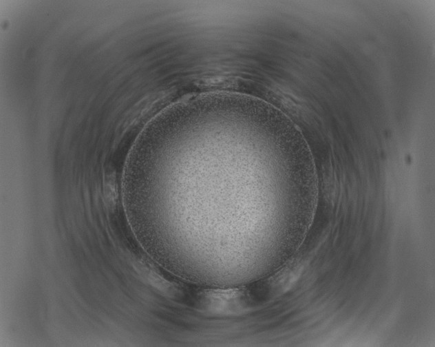X0000078000085200611031456