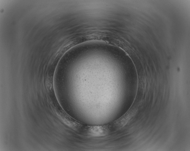 X0000078000091200611031456