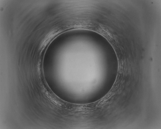 X0000078000098200611031455