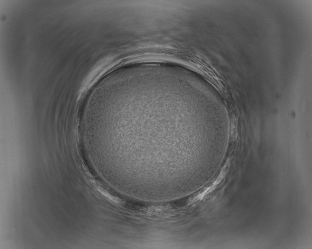 X0000078000101200611031455