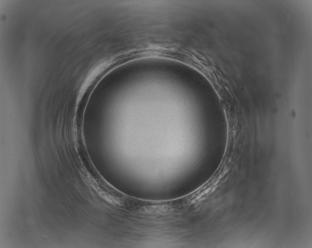 X0000078000102200611031455